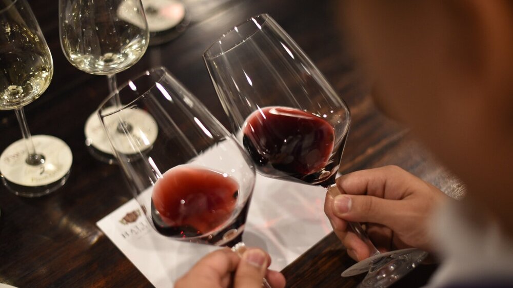 Chignal Wine Discovery